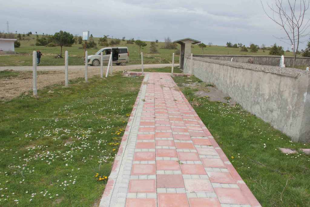 Seyitali